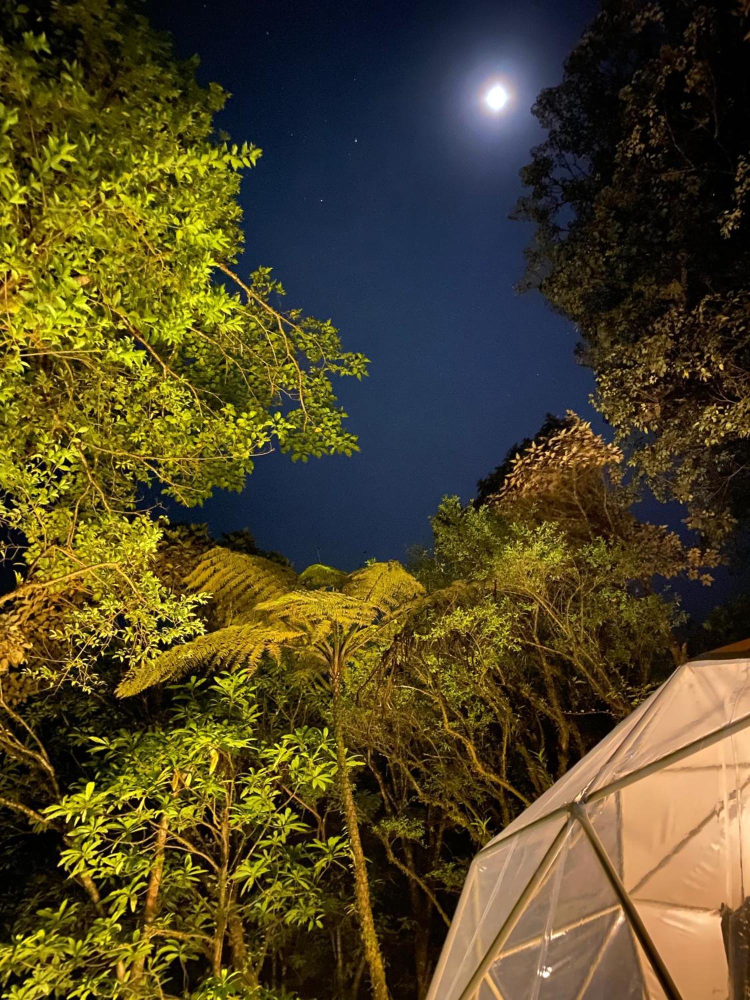 Готель Way To Heaven Glamping Monteverde Екстер'єр фото